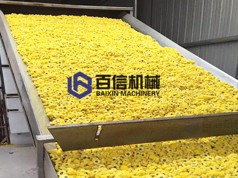 云浮菊花烘干機